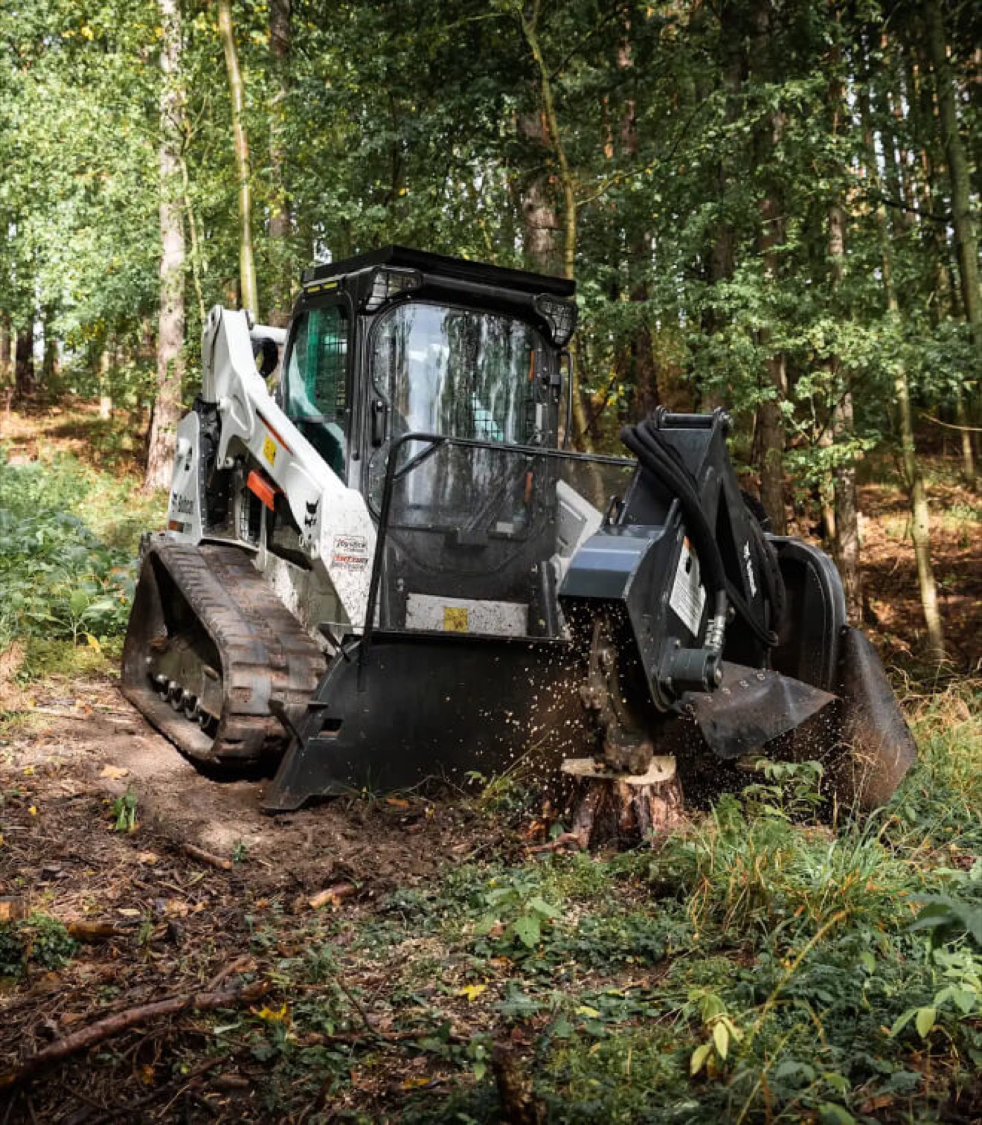 Bobcat – Einblick