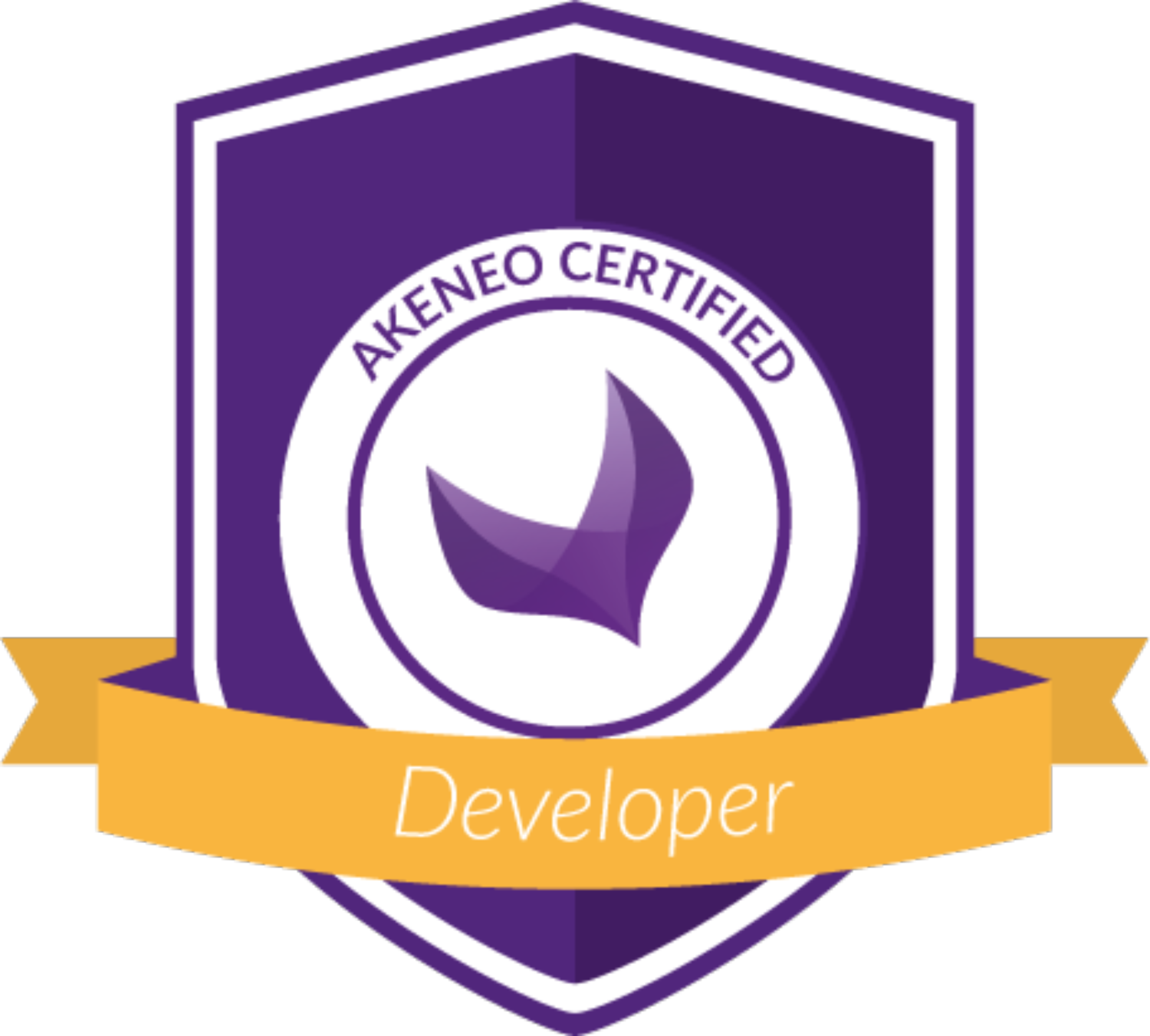 akeneo certified developer